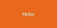 Hebe